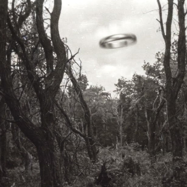 Mysteries of the Hoia Baciu Forest Thumbnail
