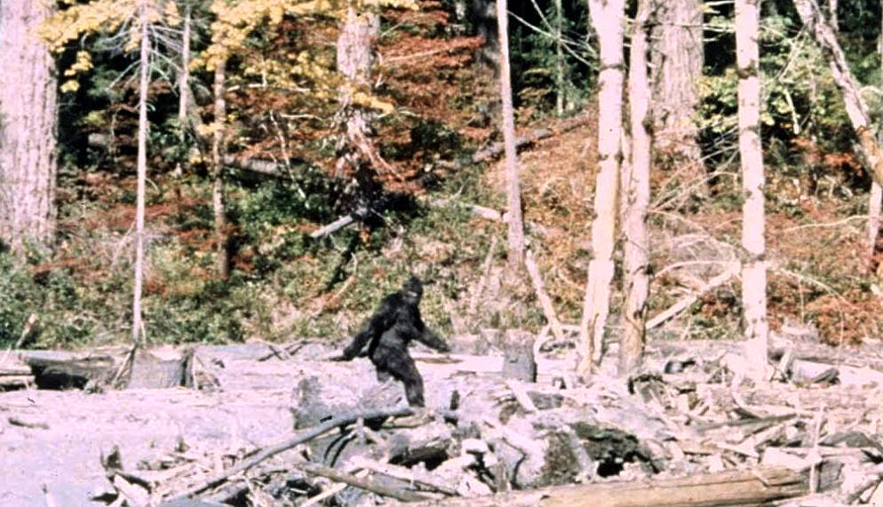 The Patterson-Gimlin Film Deep Dive Thumbnail